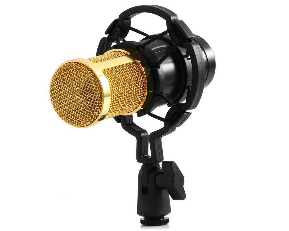 Best Dynamic Microphone Streaming