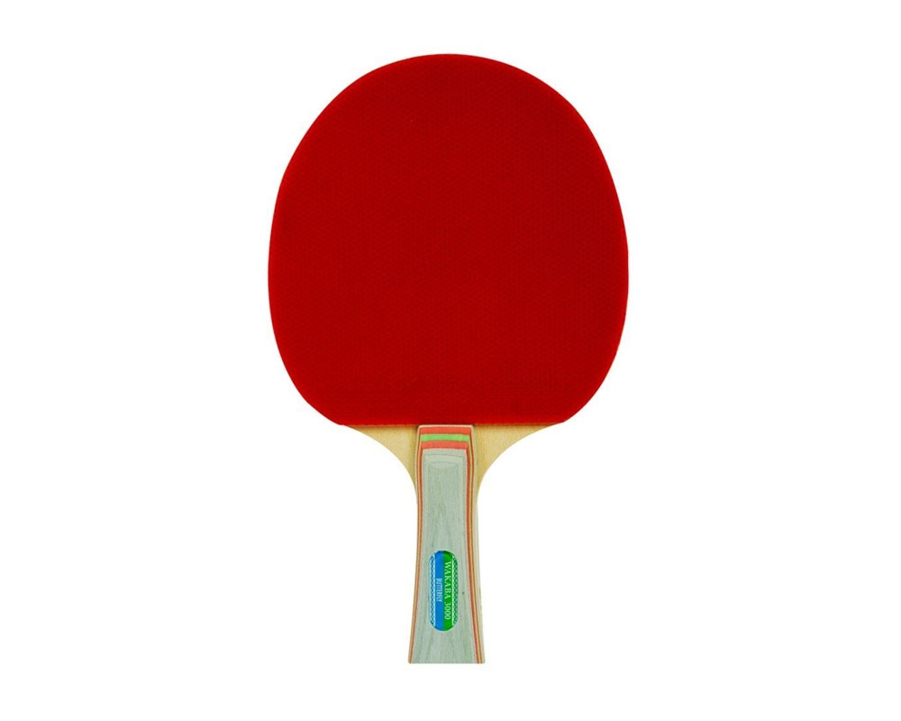 Best Control Ping Pong Racket