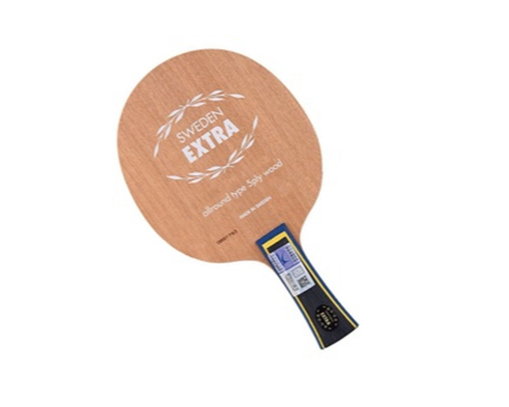 Best Lightweight Ping Pong Racket